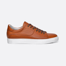 Load image into Gallery viewer, Celio - Shoe - Casual Shoes, Men, On Sale, Sneakers - Austrich