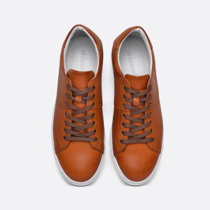 Celio - Shoe - Casual Shoes, Men, On Sale, Sneakers - Austrich